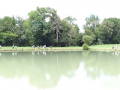 DSC07680-Moyen