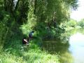 DSC09458-Moyen