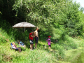DSC09463-Moyen