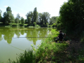 DSC09464-Moyen