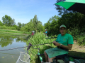 DSC09477-Moyen
