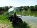 DSC09479-Moyen