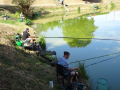 DSC09523-Moyen