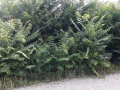 20230823_084746-Moyen