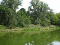 DSC08608-Moyen