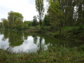 DSC08136-Moyen