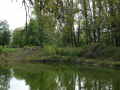 DSC08137-Moyen