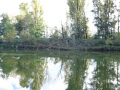 DSC08146-Moyen