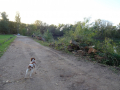 DSC08148-Moyen
