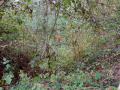 20231025_102353-Moyen
