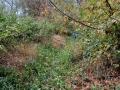 20231025_102454-Moyen
