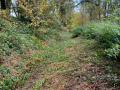 20231025_114416-Moyen