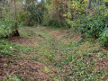 20231025_114421-Moyen