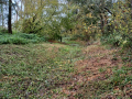 20231025_114522-Moyen