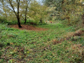 20231025_114614-Moyen