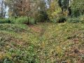 20231025_143612-Moyen