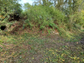 20231025_143646-Moyen