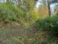 20231025_143649-Moyen