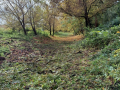 20231025_152051-Moyen
