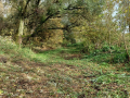 20231025_152056-Moyen