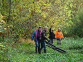 DSC08684-Moyen