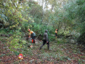 DSC08688-Moyen