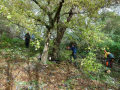 DSC08689-Moyen