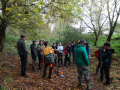 DSC08692-Moyen