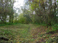 DSC08695-Moyen