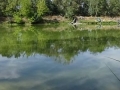 DSC04469_resultat