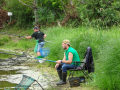 DSC07644-Moyen