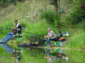 DSC07647-Moyen