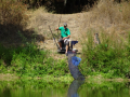 DSC07831-Moyen