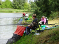 DSC06856-Moyen