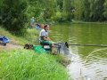 DSC06858-Moyen