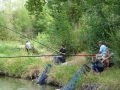 DSC03523_resultat