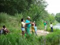 DSC06570-Moyen