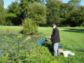 DSC08027-Moyen
