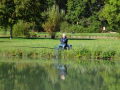 DSC08030-Moyen