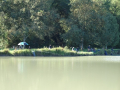 DSC08033-Moyen