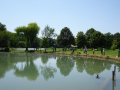DSC06563-Moyen