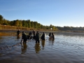 DSC_2406_resultat
