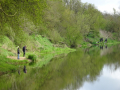 DSC07403-Moyen