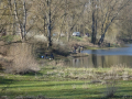 DSC06150-Moyen