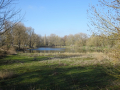 DSC06151-Moyen