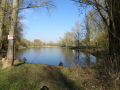 DSC06153-Moyen